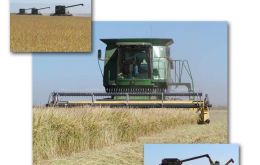 Harvesting rice in Uruguay’s paddies