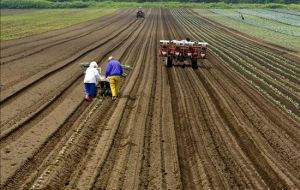 Agriculture was the main engine of the economy 