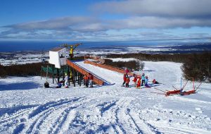 Cerro Mirador in Punta Arenas is one of the most accessible options 