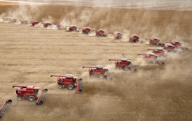 Soy fields make Brazil a world food power 