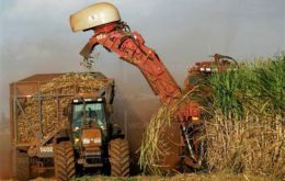Cane production in the centre south of Brazil has declined almost 25%