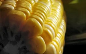 Colombian corn imports for the 2011/12 year are expected to be greater that those of China 