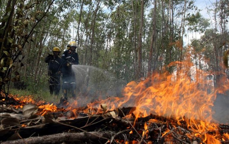 Strong winds have helped the fire spread rapidly 