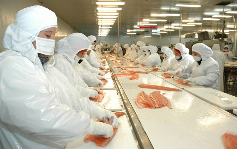 The European strain of ISA devastated Chile’s salmon industry