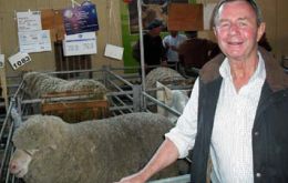Agricultural Advisor ‘Mac’ McArthur admires Uruguayan livestock 
