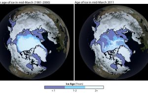 The extent of Arctic sea ice in 2011 was the second lowest on record