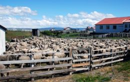 Many elements of rural life in the Falklands and Patagonia were very similar and equally rugged.