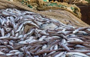 Fears that the measure could repeat the “sad demise” of the Southern Blue Whiting in the South Atlantic 