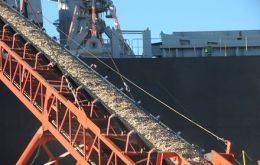 Loading wood chips in the port of Montevideo, Nueva Palmira?