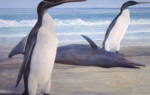 They stood as high as 4.2 feet, slimmer than modern penguins, with a long beak and flipper