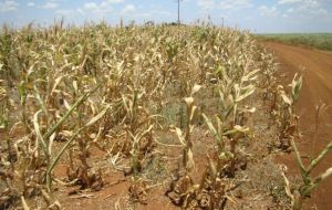 Drought in the southern states had a greater impact than estimated 