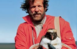 Ron Naveen, penguin scientist