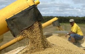 Brazil’s soy crop could loose 2 million tons 