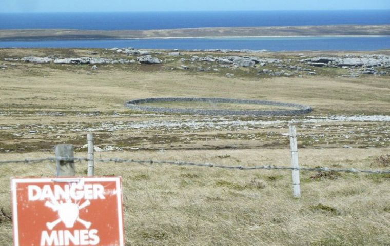 The stone corral and neighbouring land leading to Stanley was densely planted with mines by the retreating Argentine forces in 1982