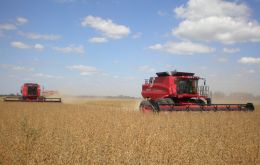 But estimates show corn could surpass 2011/12 soy crop in tonnage 