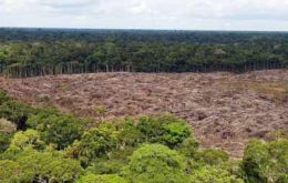 The gross reduction in forest land over this 15 year period is still a staggering 218 million hectares  