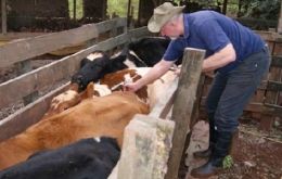 The challenge is to recover the status of free of FMD with vaccination 