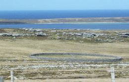 The cleared area contains the Stone Corral, an exquisite piece of early Falklands’ history