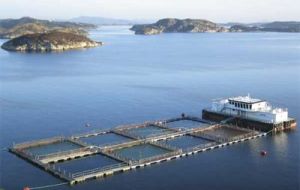 Salmon farming in Chile is a huge industry and among the leading export items 