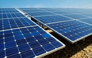All manufacturers continued to produce massive quantities of solar panels despite overstocked inventories
