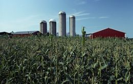 US farms land rose by 10.9% over the last year 
