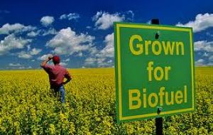 Bio-fuel exports from Argentina reached two billion dollars in 2011