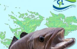 Patagonian toothfish with an international reputation 