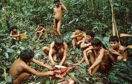 The Yanomami live deep in the Amazon jungle and are victims of violence by intruding miners 