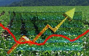 As worldwide the increase in grains and oilseed prices is seeping into the economy