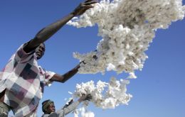 Ten million small farmers in West and Central Africa depend on cotton 