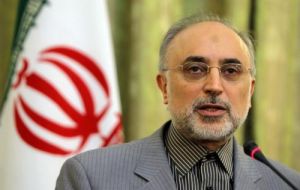 A spokesman for Iranian minister Ali Akbar Salehi said “negotiations with Argentina will continue until we arrive to a clear conclusion”