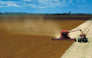 The country is set to become the world largest soy bean producer ahead of the US 