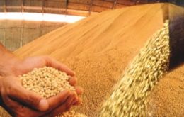 The country could harvest 82.6 million tons of oil-seed this coming season 