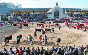 The Palermo fairgrounds where every year the best of Argentine livestock goes on show 