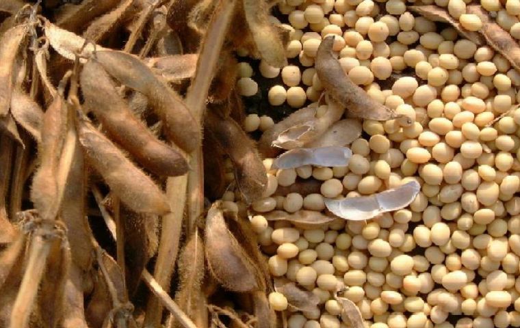 Soy beans and iron ore remain Brazil’s main export items 
