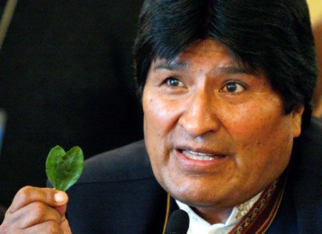Major victory for President Morales: UN accepts “coca leaf chewing” in  Bolivia — MercoPress