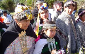 Mapuches make up 6% of the Chilean population and represent significant numbers in two Patagonian regions  