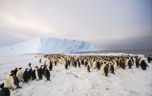 The newly-discovered 9,000-strong emperor penguin colony on Antarctica’s Princess Ragnhild Coast