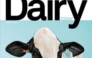 Dairy products’ prices remained relatively stable during January 