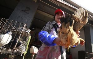 Facemasks are back on fear of the spread of bird flu 