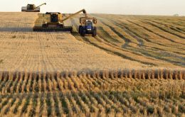An estimated 3.9 million hectares (up form 3.6m) will be planted with wheat, says the Buenos Aires Grain Exchange  