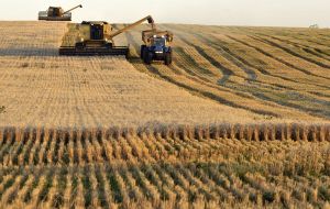 An estimated 3.9 million hectares (up form 3.6m) will be planted with wheat, says the Buenos Aires Grain Exchange  