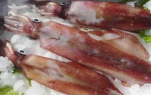 According to Argentine stats the average ton of squid price was down 17.5%