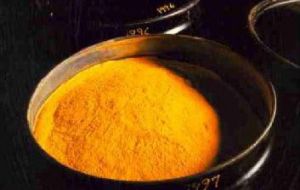 Yellowcake also called urania is a kind of uranium concentrate powder obtained through the milling and chemical processing of uranium ore.