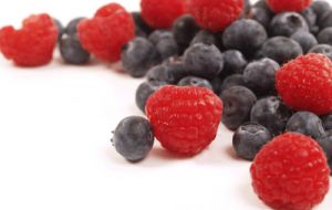 Fresh berries are healthy but also prone to microbiological contamination and associated with Hepatitis A, Norovirus, bacteria E.coli and protozoa