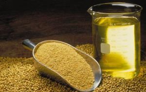 Argentine export price of soy-oil has plummeted 21% so far this year 