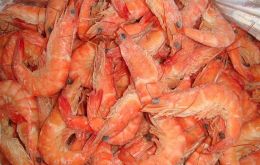 Imports of frozen “warm-water shrimp” accounted for 3.5 billion dollars last year