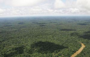 The Yasuni National Park in the Amazon rainforest holds 20% of Ecuador’ oil reserves