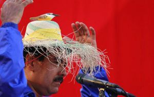 Maduro campaigning with his famous hat and the spirit of Chavez represented in a bird