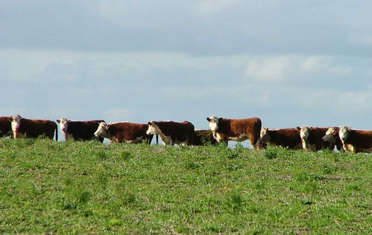 Livestock in Uruguay has a privileged sanitary status 